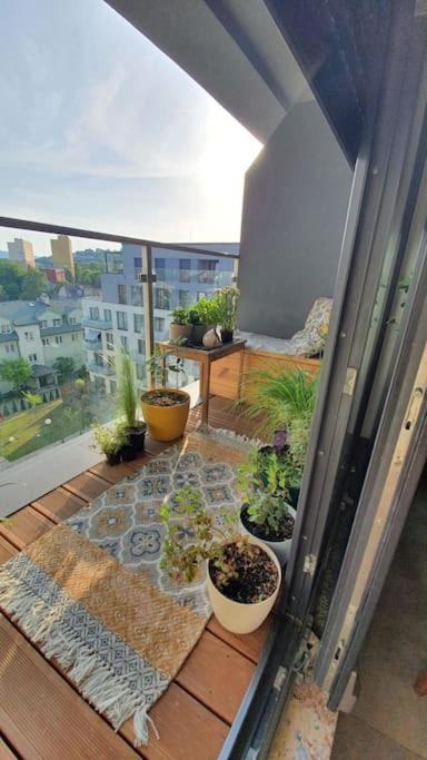 Apartment In City Center Przemyśl Buitenkant foto